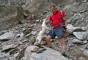 Il MONTE GLENO (2882 m) risalito dalla sua valle il 6 agosto 2015  - FOTOGALLERY